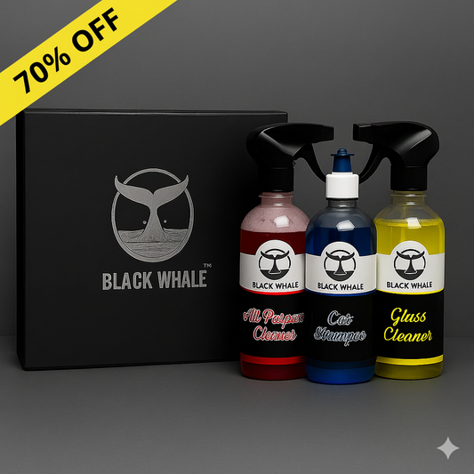 Premium Car Care Kit